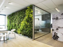 如何用绿植点缀办公室装修？